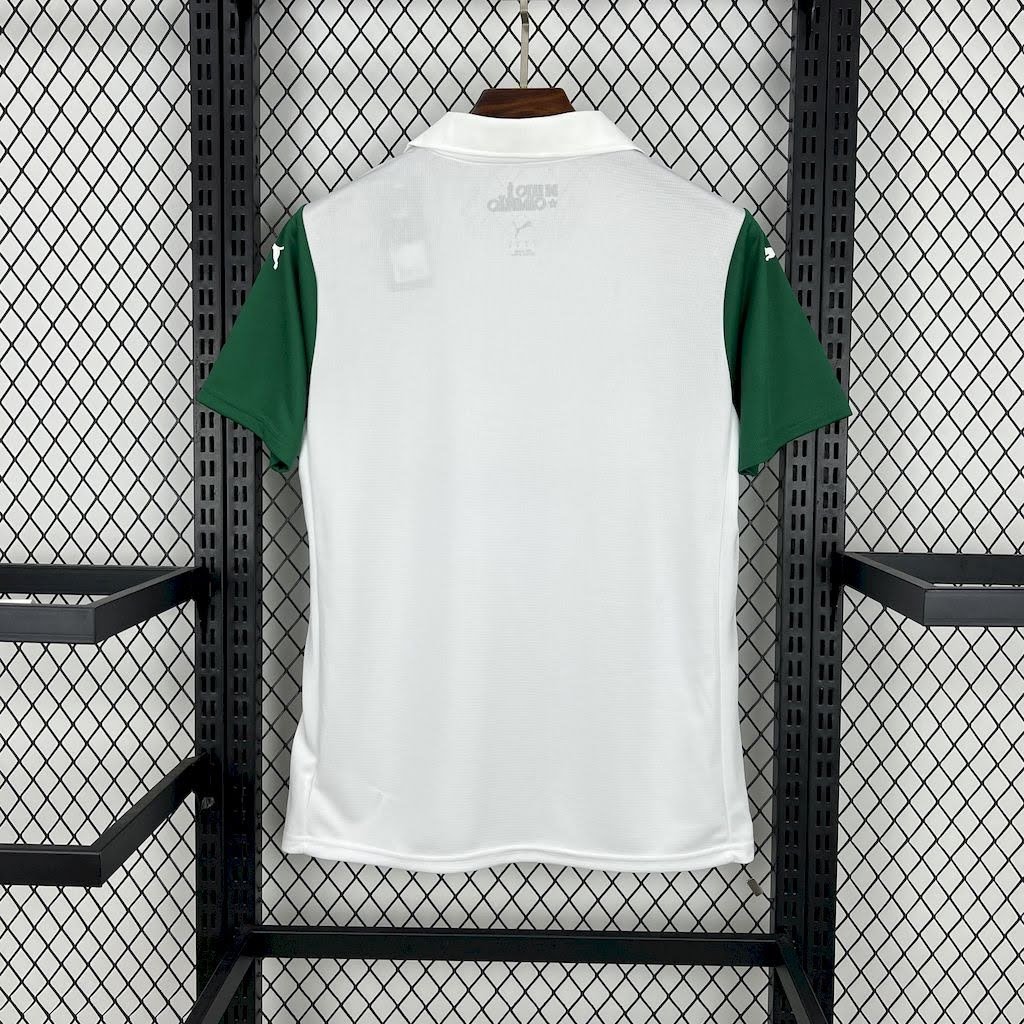 Palmeiras - II 2025 - Image 4