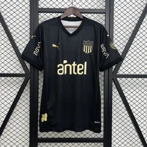 Peñarol - II 2025